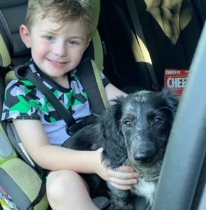 Meet your Posher, Deb